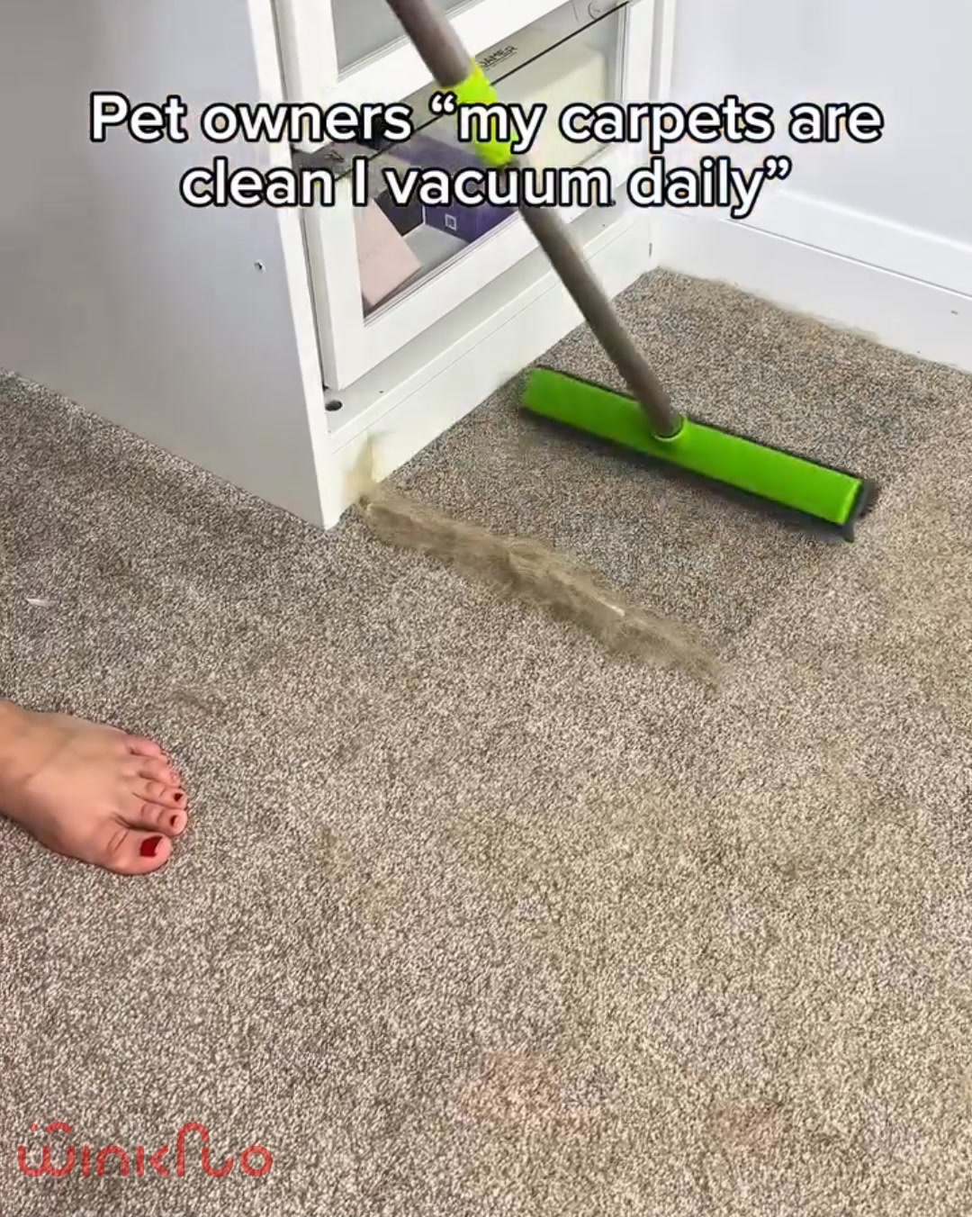 Pet hair EVERYWHERE?