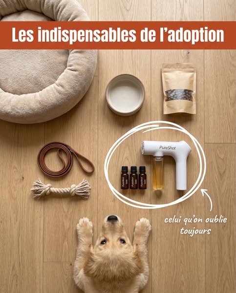 Élimine vite les odeurs de chien et chat !