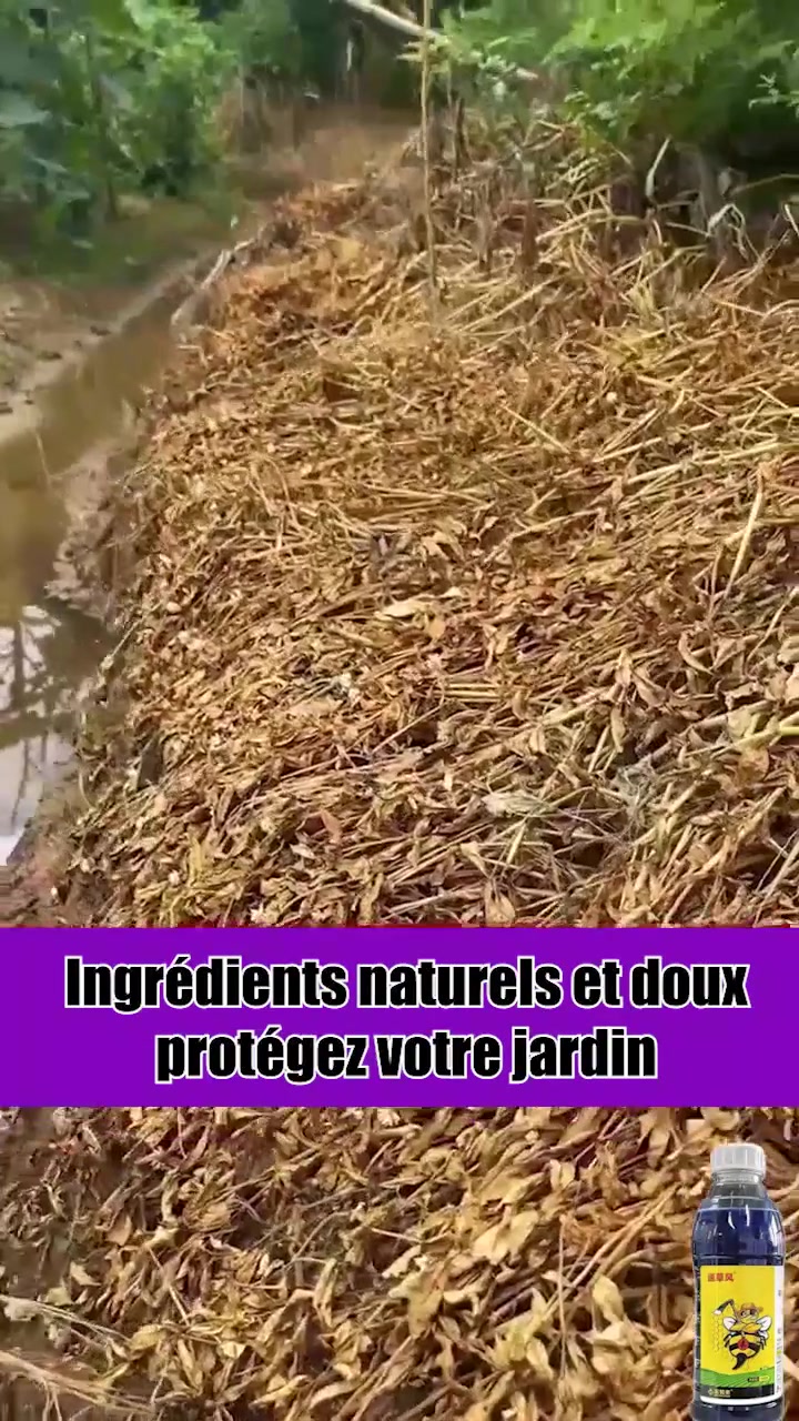 Éliminez toutes les mauvaises herbes