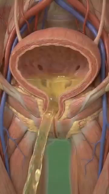 Recupera tu cuerpo