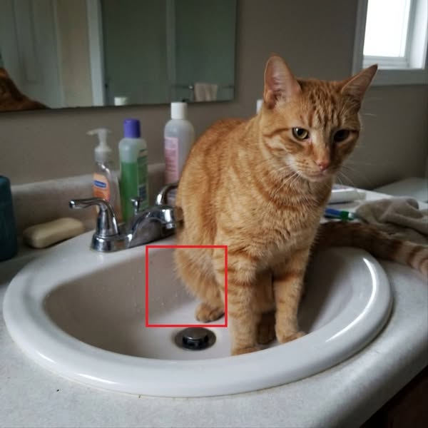 The Cat Smell You Stopped Noticing