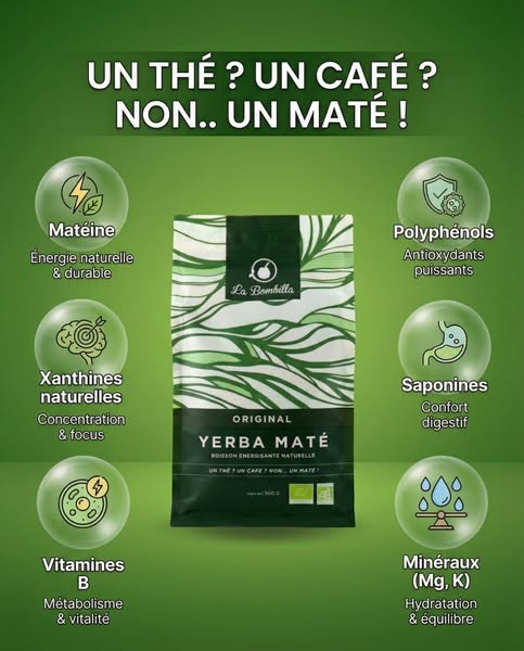Le maté, l’énergie version superaliment.