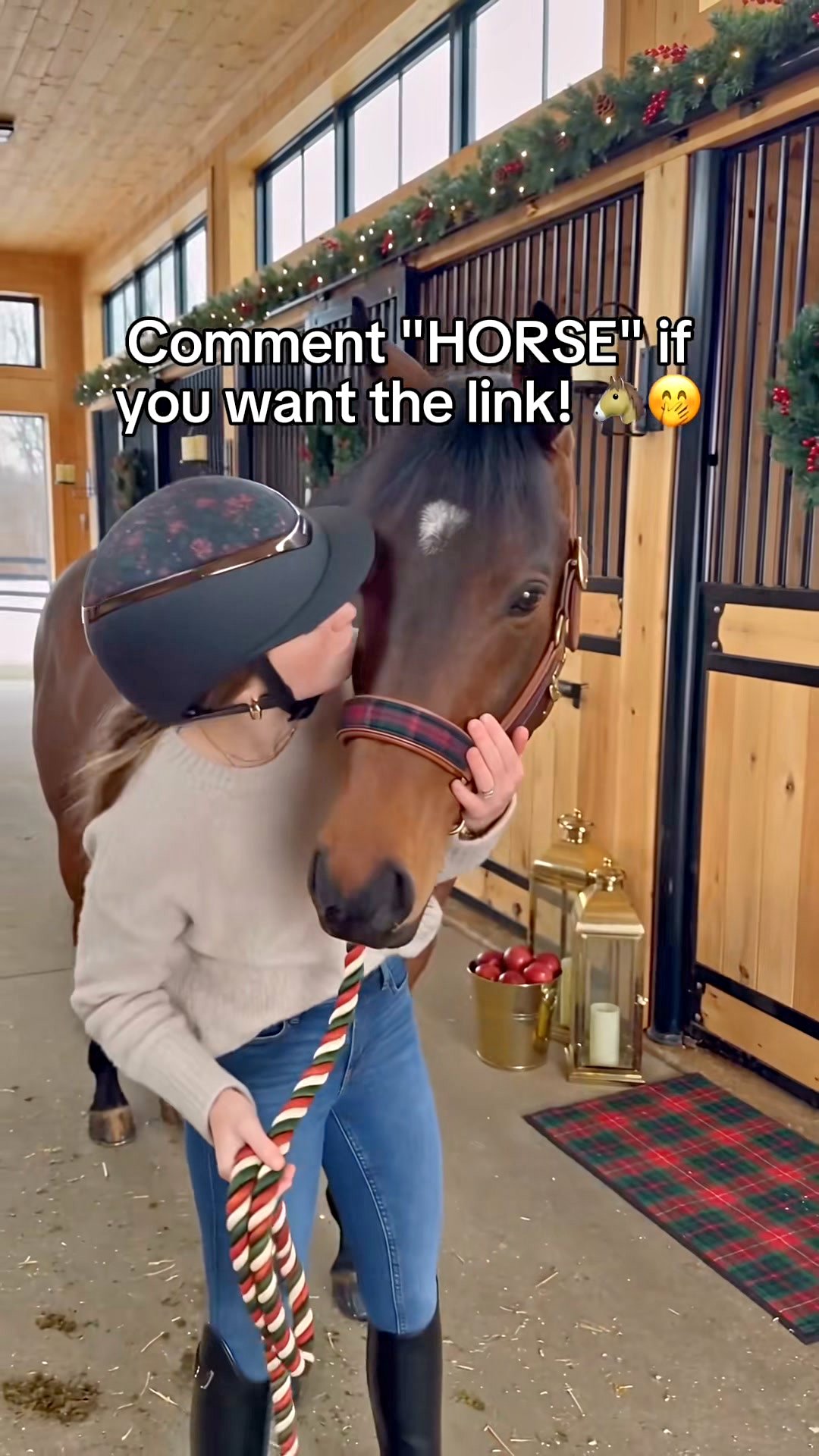 A Saddle Pad Inside an Advent Calendar?