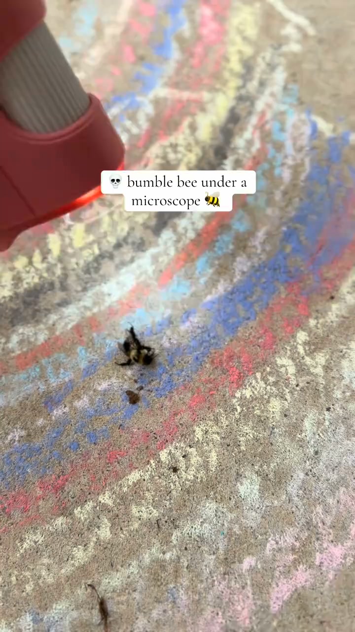 Adventure Microscope