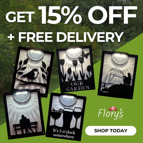 Free Delivery with code 'WELCOME'