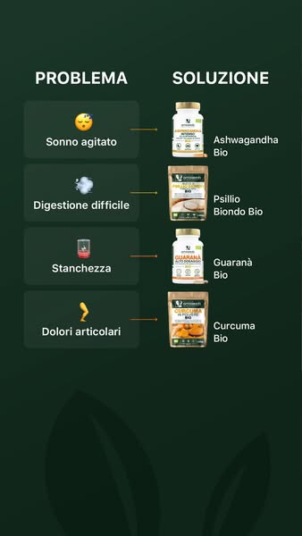 4,8 / 5 + 7.000 recensioni