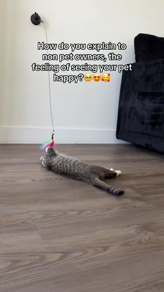 Trusted by Cat Lovers, Loved by Kitties!
