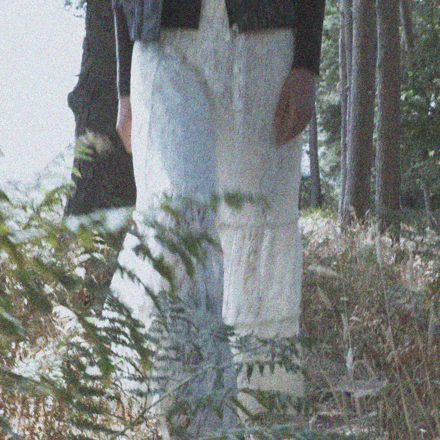 Apricot Clothing