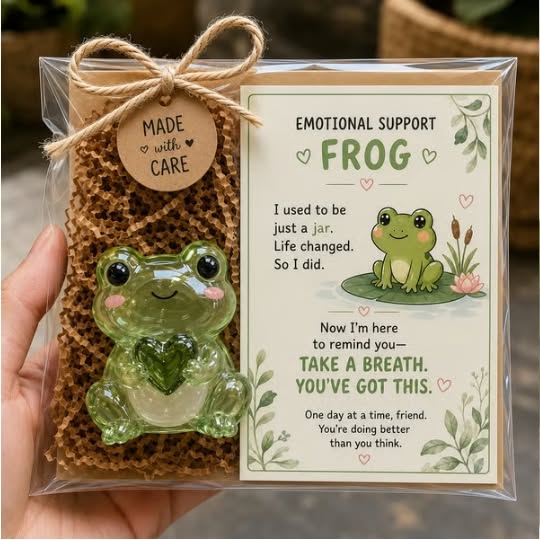 Emotional Sea Glass Support Animal Gift Set – A Meaningful Little Reminder That You Matter - Hummingbird