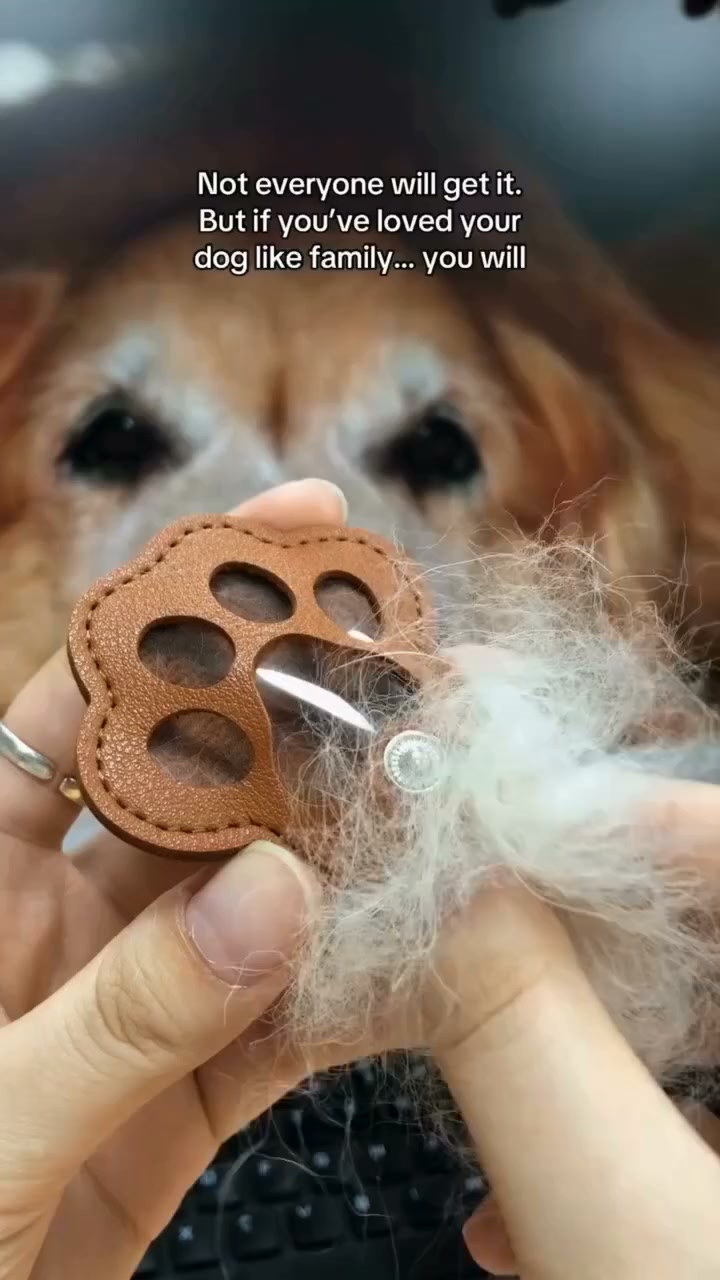 Pet Paw Shaped Leather Keychain