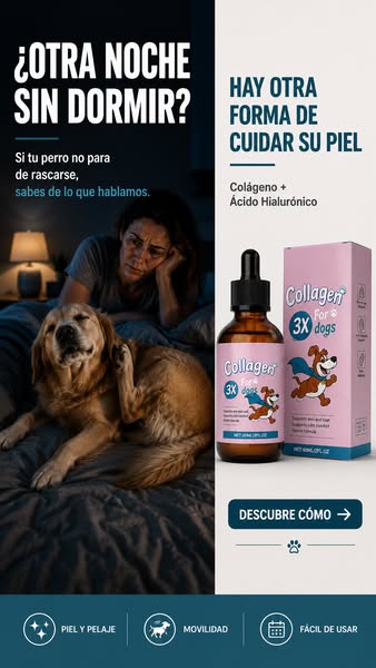 Pago contra Reembolso + Envío Gratis 24/48Hs