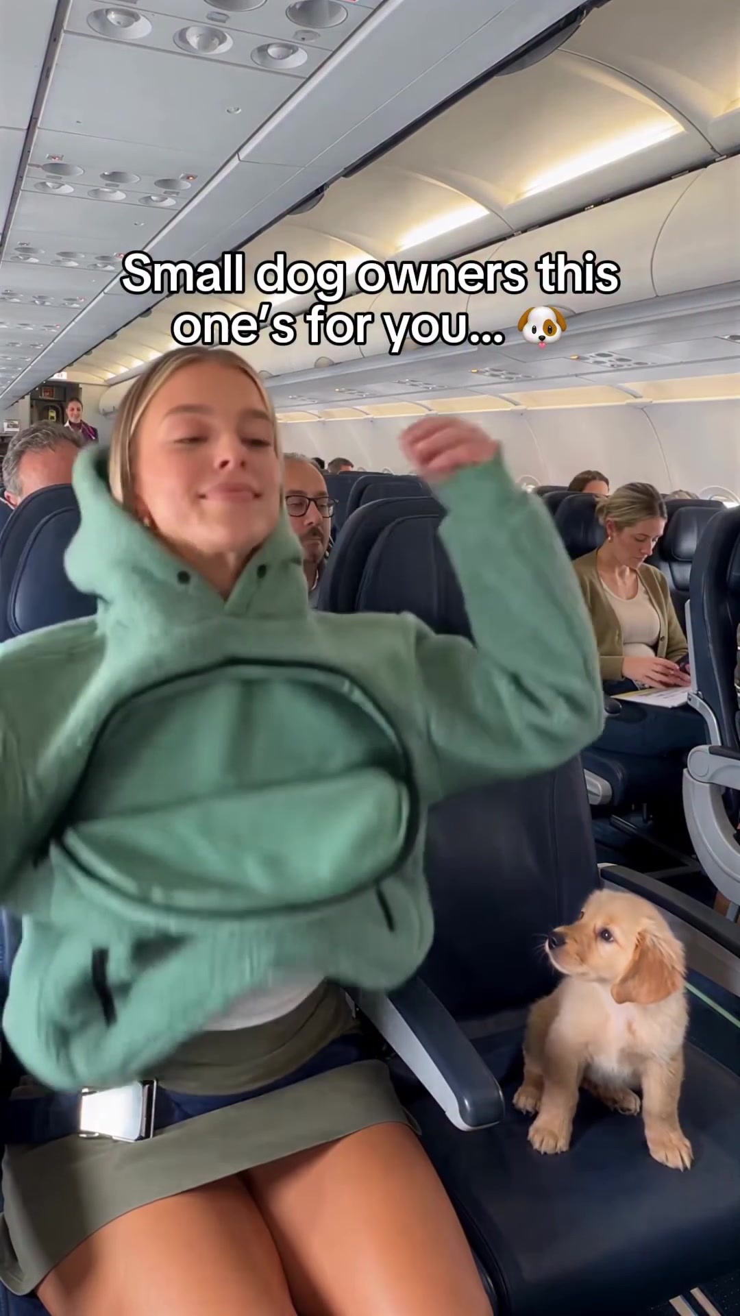 The Hoodie With a Pocket for Your Dog