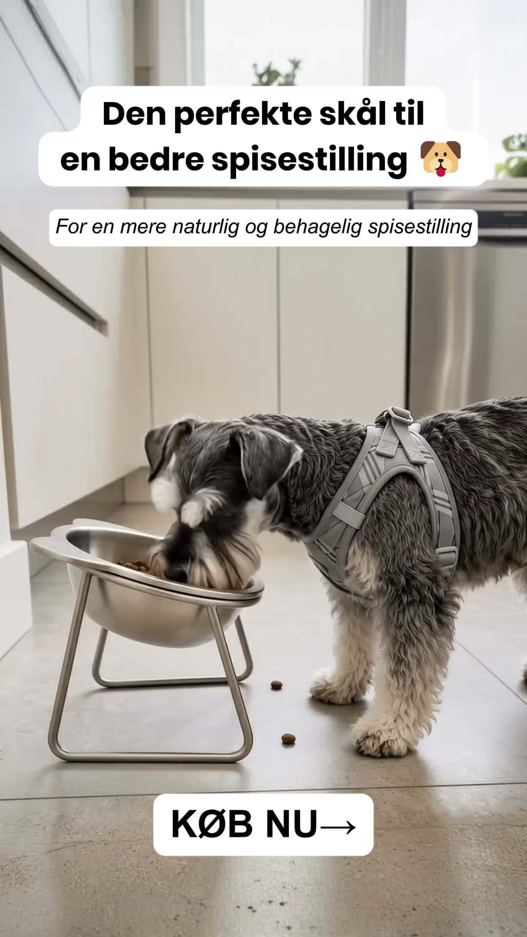 Smid plastikken ud. Opgrader spisetiden.