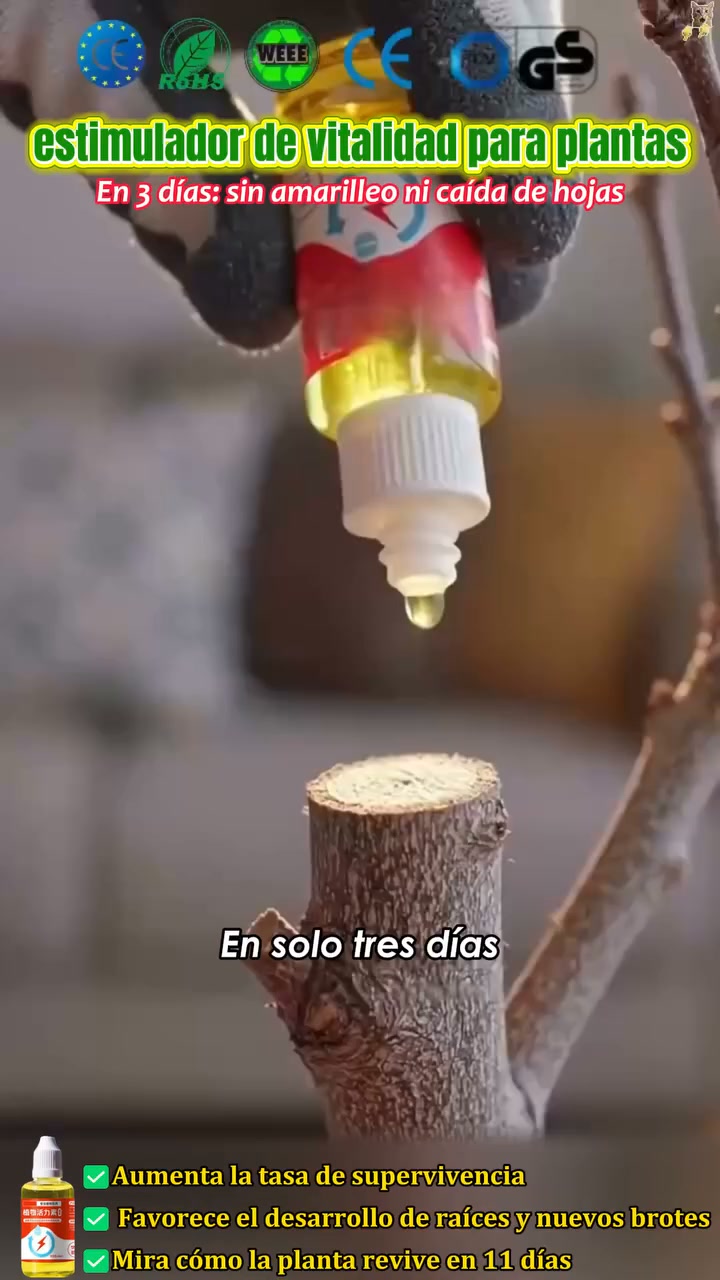 Envío Gratis: 24h y Pago Contrarrembolso