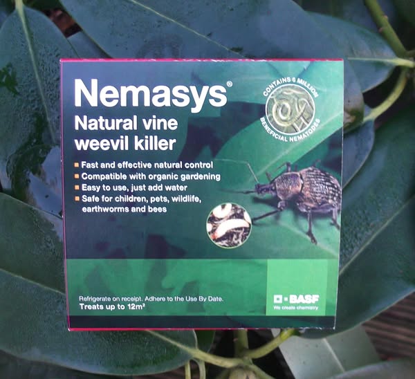 Nemasys Vine Weevil Killer 12 sqm