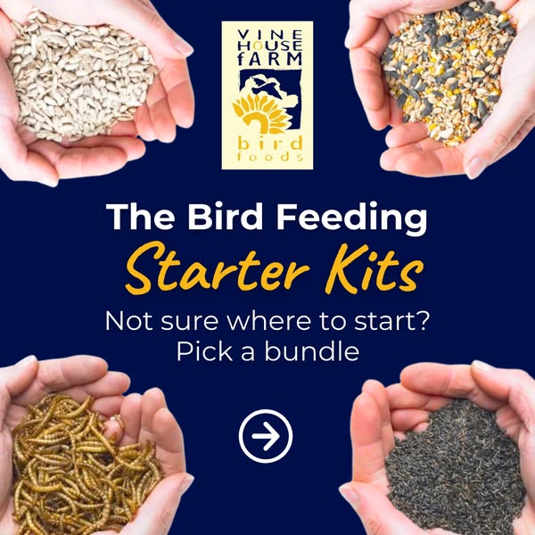 The starter bundles