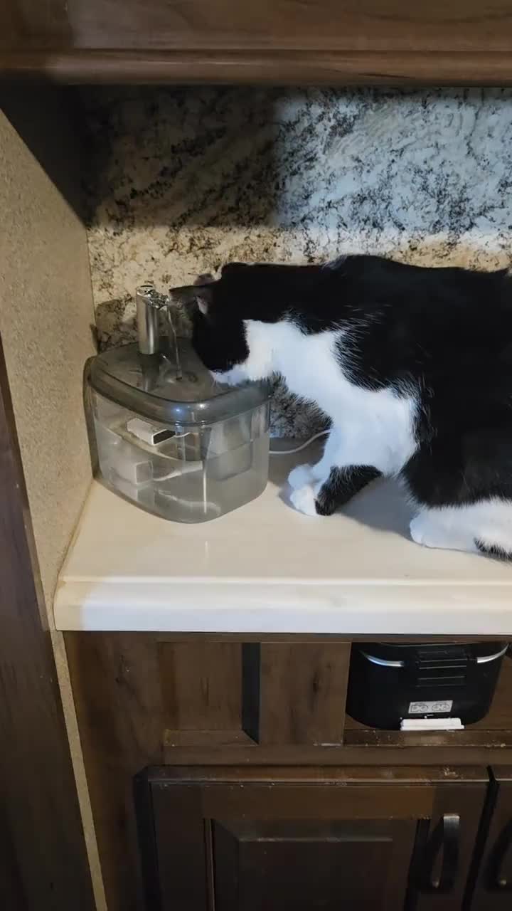 Automatic Cat Water Fountain