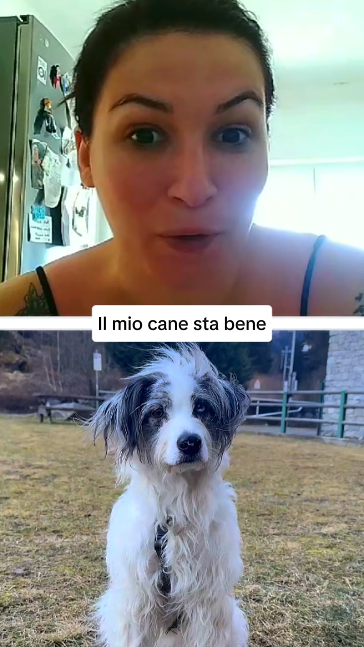 Elimina il Prurito del tuo Cane alla Fonte