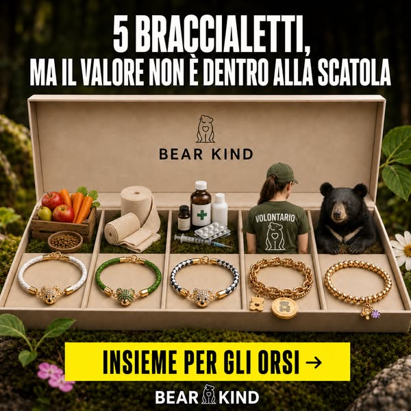 Salva oggi un orso