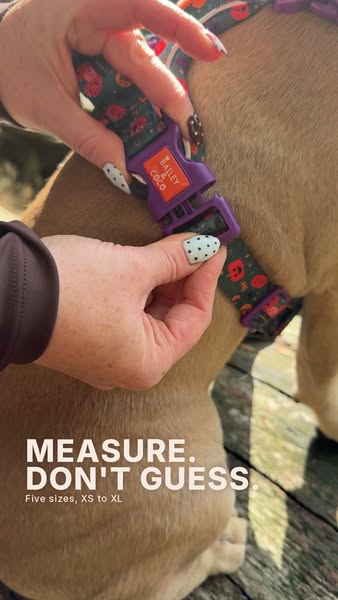 Measure first. Five sizes, XS to XL.