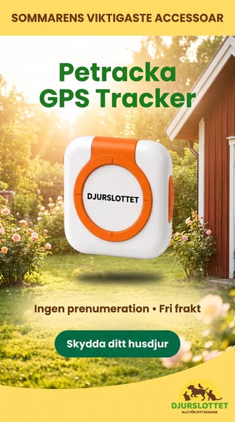 Petracka GPS utan abonnemang