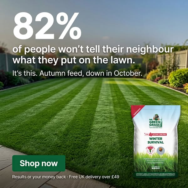 Your Lawn Deserves The BEST!