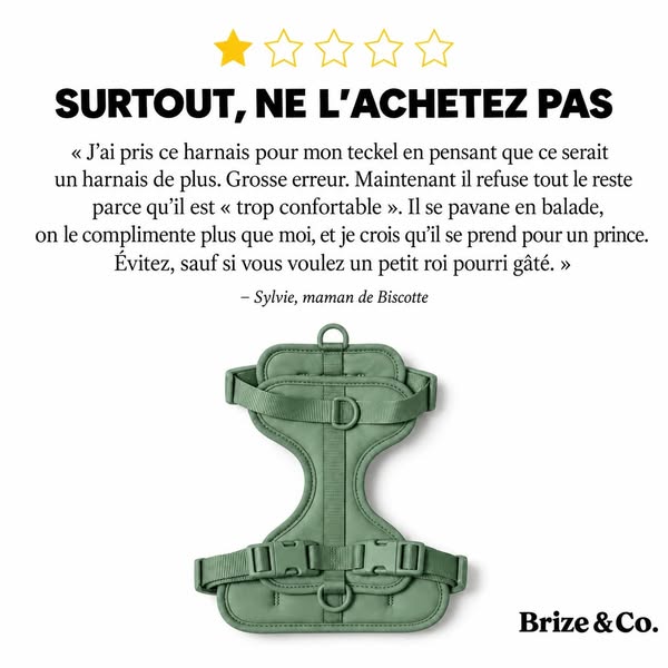 L'avis 1 étoile qu'on adore