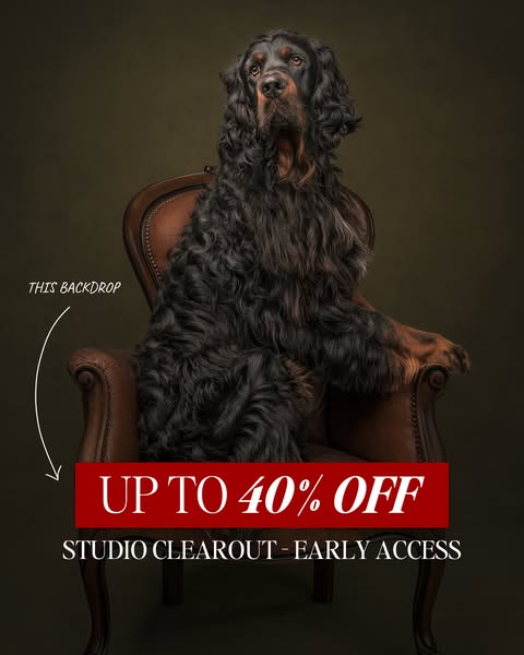 Studio Clearout, up to 40% off