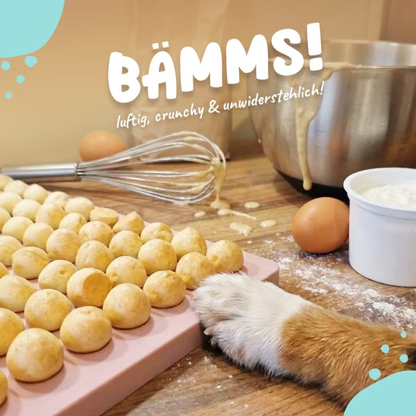 Schnell und einfach Hundeleckerlis backen!