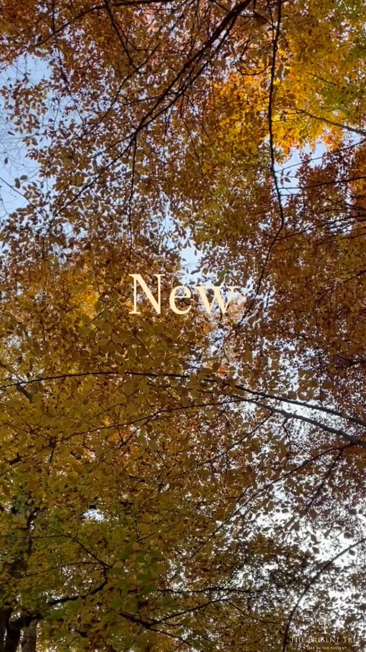 Every Tree Has A Story