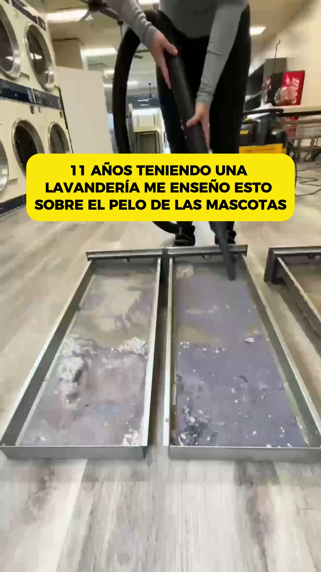 Adiós a los pelos en tu ropa
