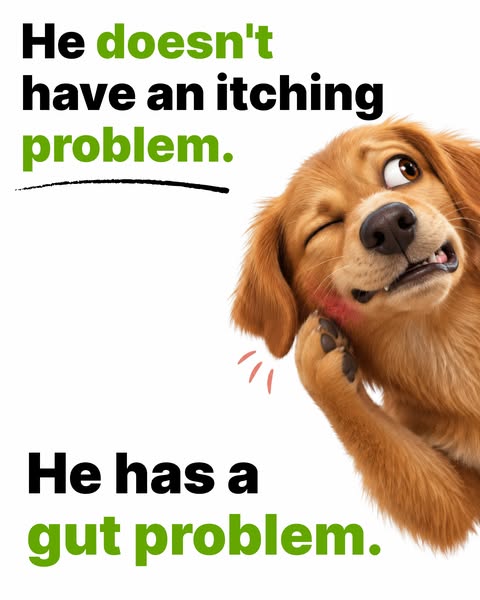 Give Him Real Relief, Finally