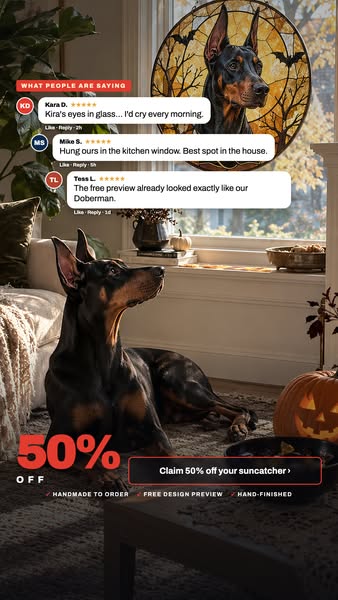 Limited offer: 50% OFF