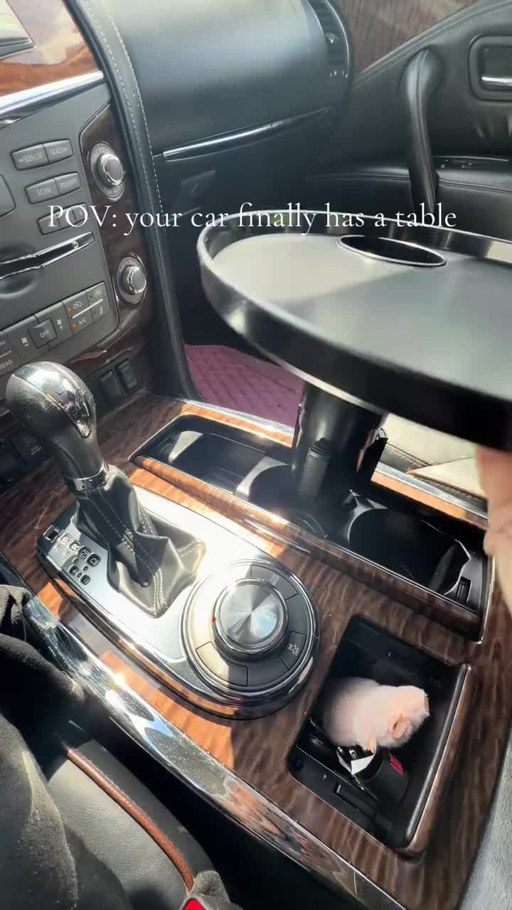 Sakerplus® Universal 360° Swivel Car Cup Holder Tray
