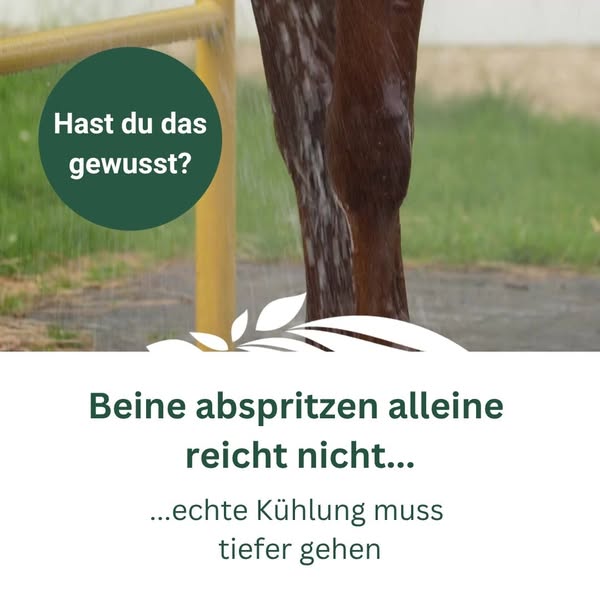 Wusstest du das schon?