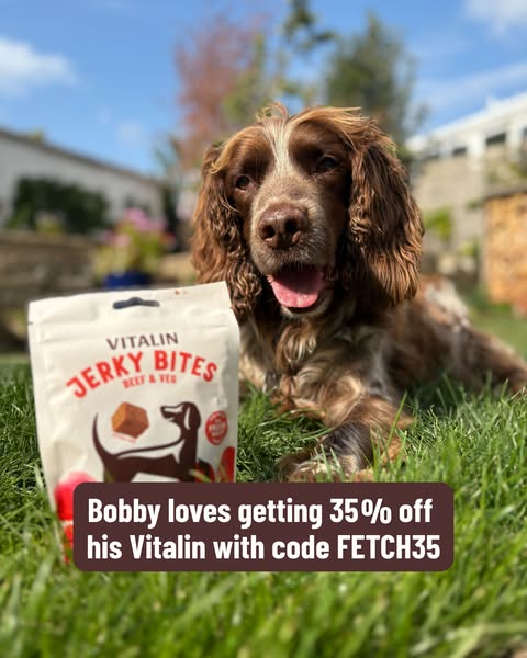 35% Off Everything