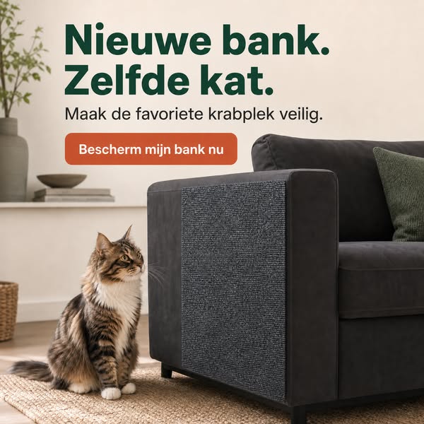 Bescherm je nieuwe bank nu het nog kan!