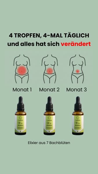 Ihr natürlicher Verbündeter zum Abnehmen