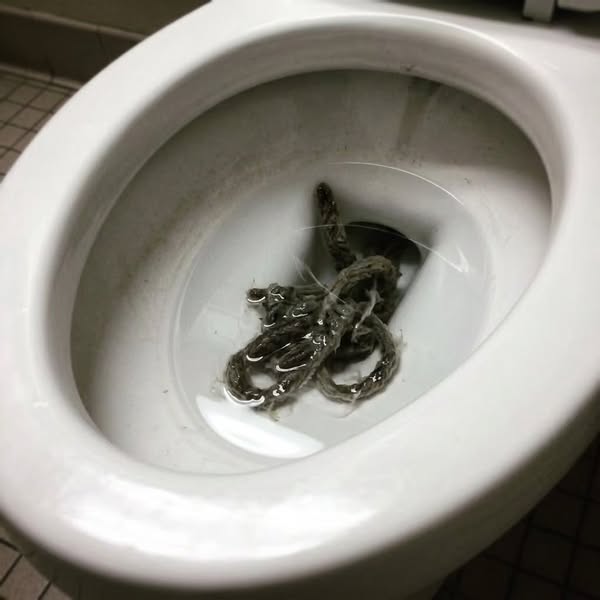 Avgifta kroppen naturligt