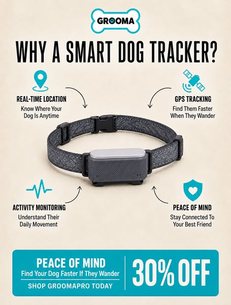 Dogs Get Lost In Seconds, Buy Now