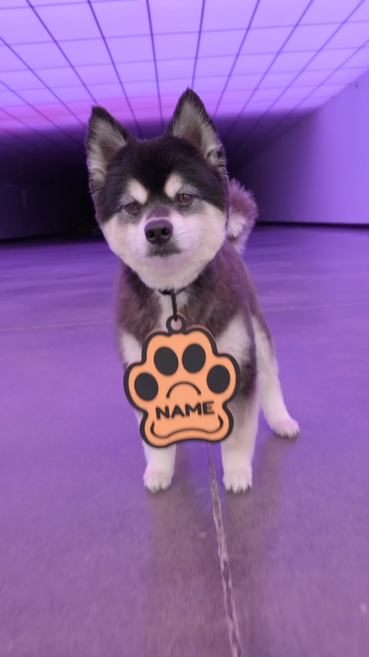 Anúncio de Bambu Lab 3D