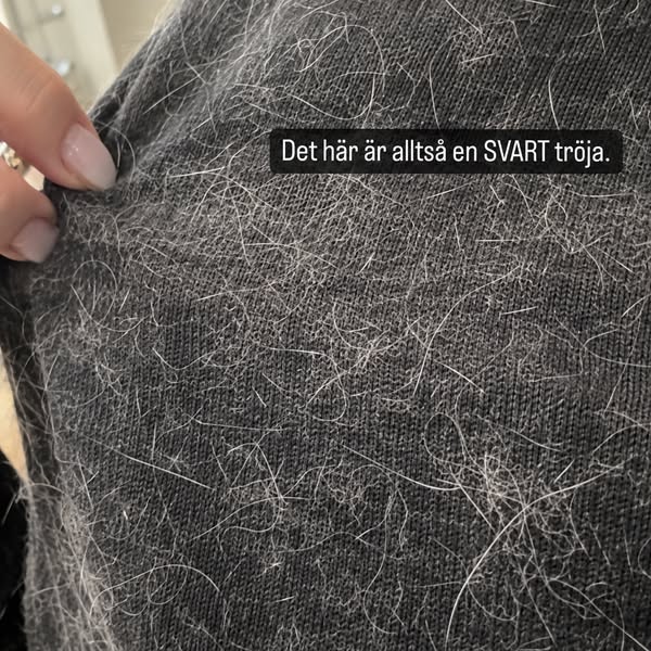 Ta på dig svart utan katthår