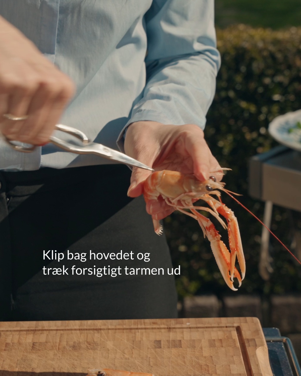Bestil danske jomfruhummere