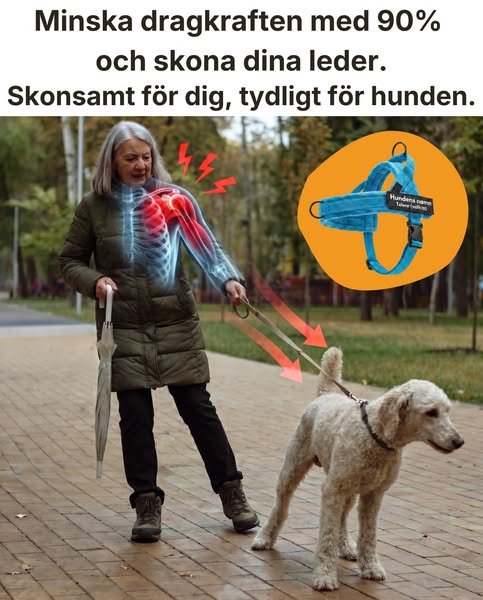 Hundsele med antidrag