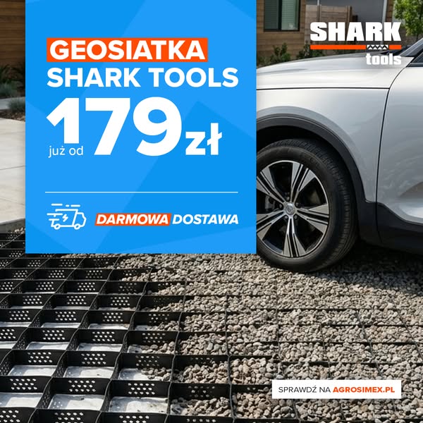 GEOSIATKA KOMÓRKOWA