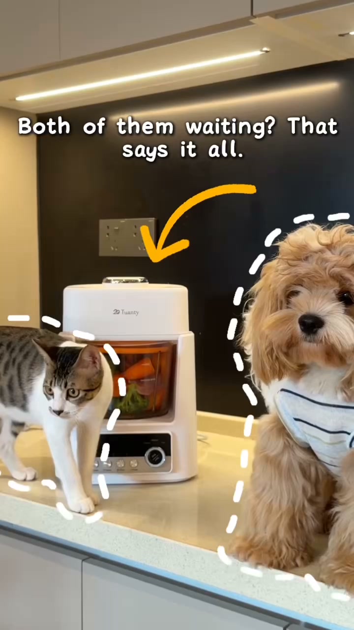 A Mealtime Game Changer