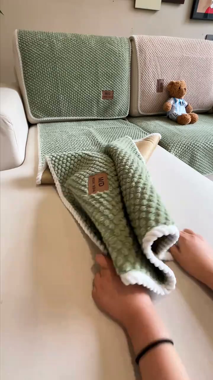 Protect Your Couch