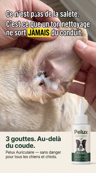 Ce n'est pas un manque d'hygiène