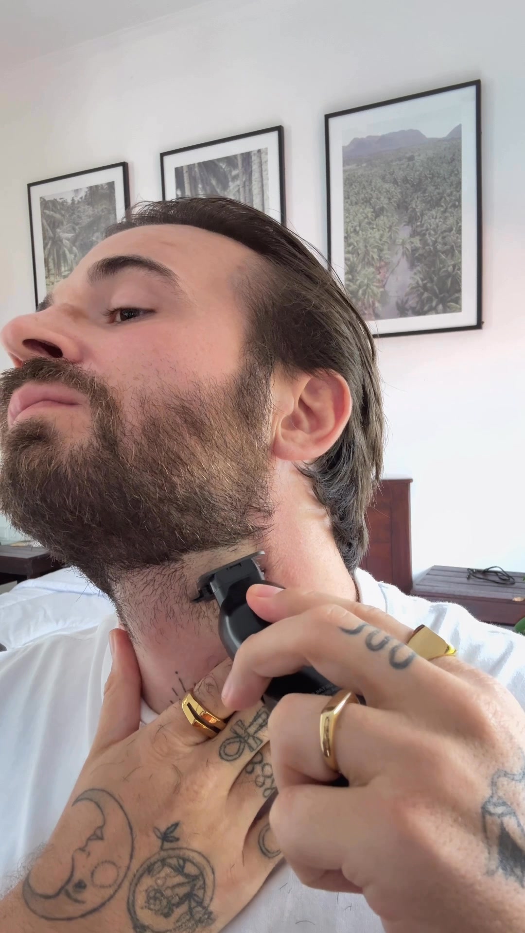 Beard Detailer + Money-Back Guarantee