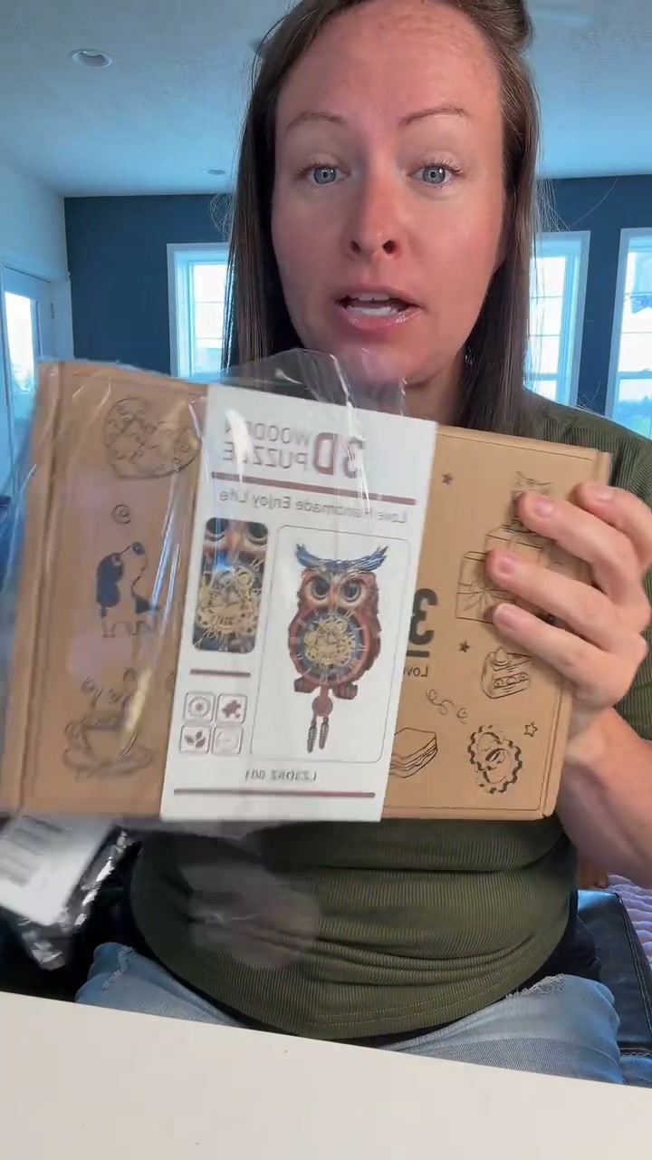 Build Your Own Owl Wall Clock
